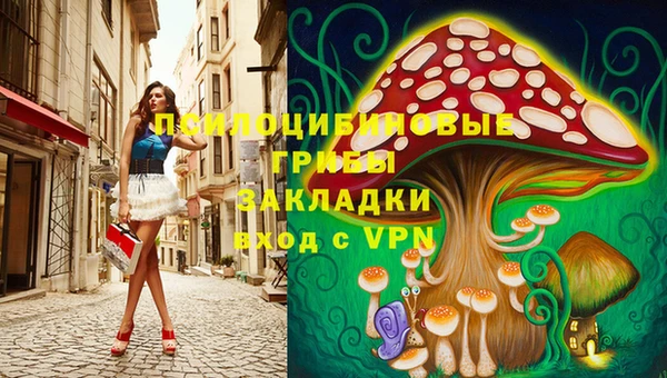 ALPHA-PVP Новозыбков