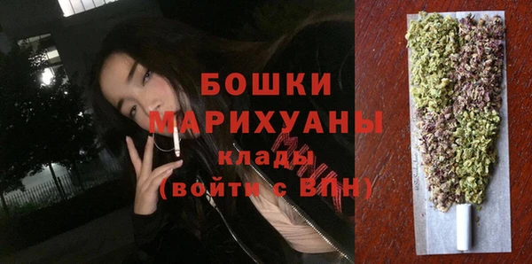 гидра Няндома