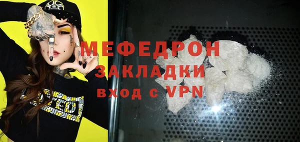 гидра Няндома