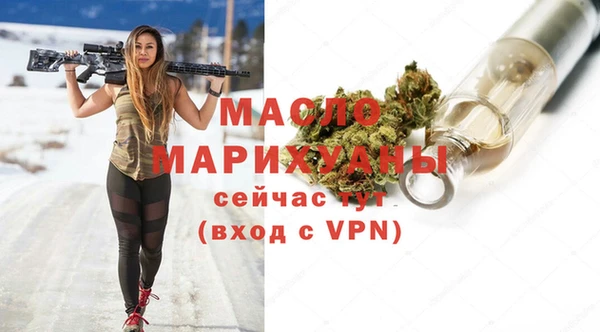 гидра Няндома