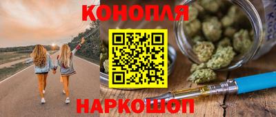 прущие грибы Абакан
