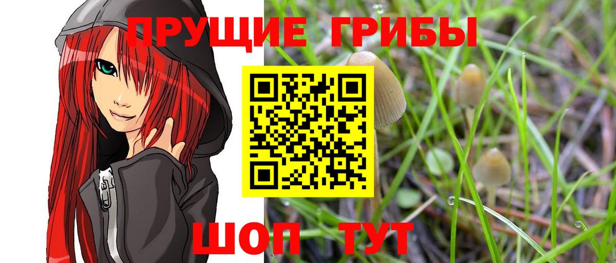 Галлюциногенные грибы мухоморы  Апрелевка 