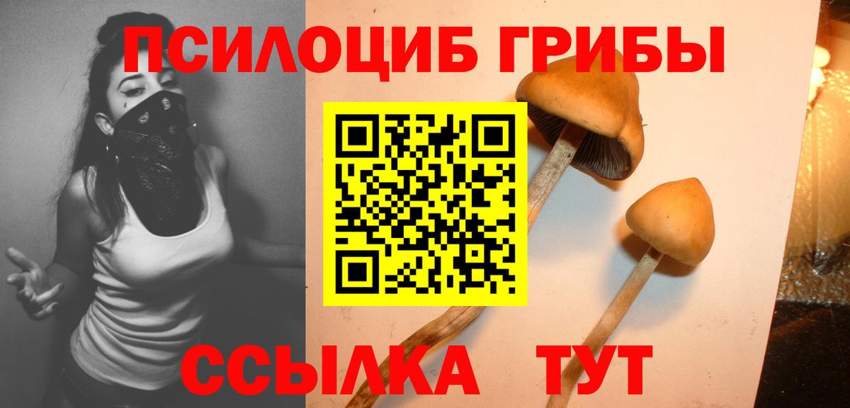Апрелевка  Псилоцибиновые грибы мицелий  купить наркотики цена  Вход с VPN 